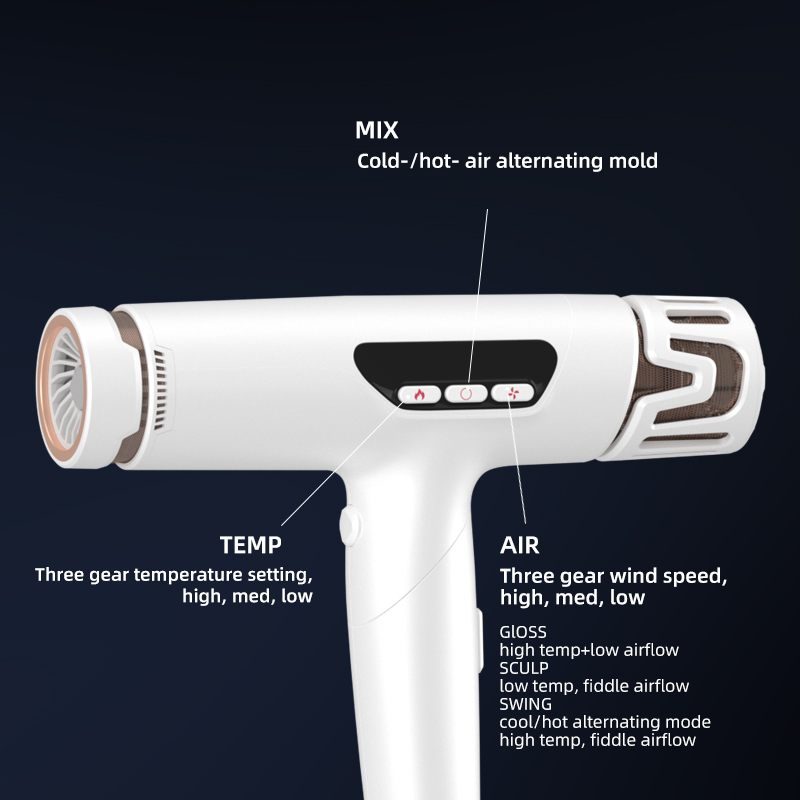 Sèche-cheveux rapide portatif de diffuseur d'ions de moteur sans brosse du salon 110000rpm