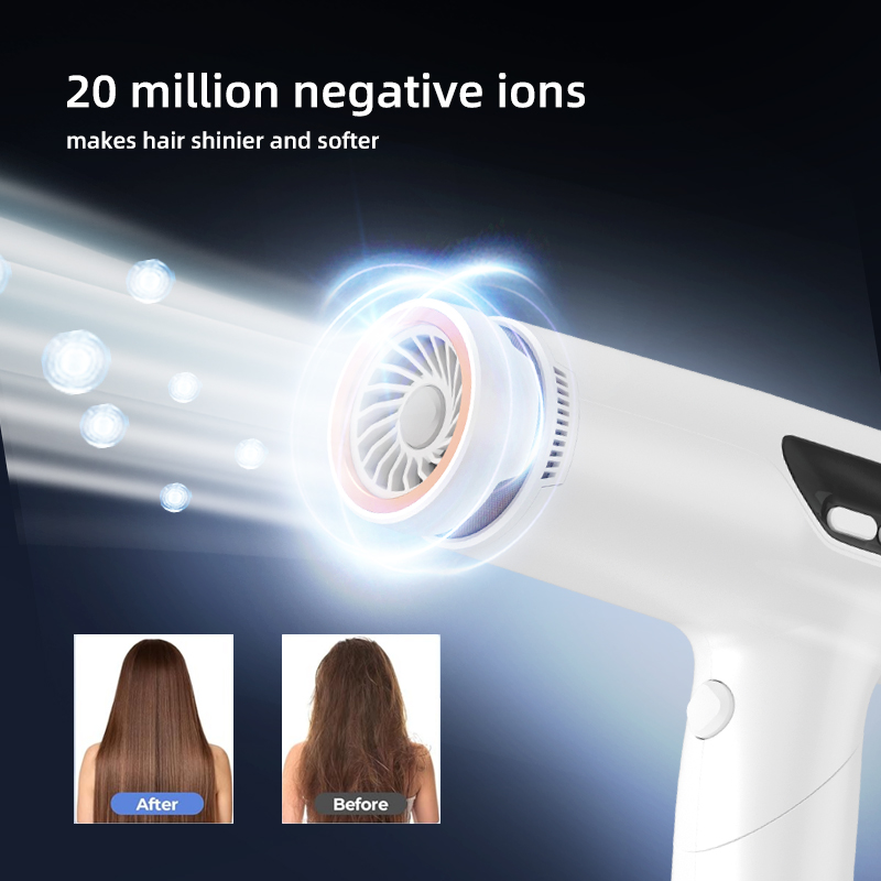 Sèche-cheveux rapide portatif de diffuseur d'ions de moteur sans brosse du salon 110000rpm