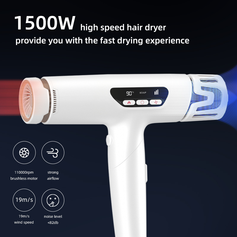 Sèche-cheveux rapide portatif de diffuseur d'ions de moteur sans brosse du salon 110000rpm